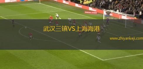 武汉三镇VS上海海港